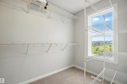 Spacious closet with light colored carpet - 