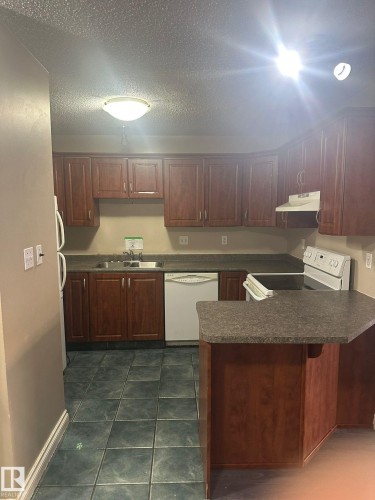 106 9010 106 Avenue, Edmonton, AB - Indoor Photo Showing Kitchen With Double Sink
