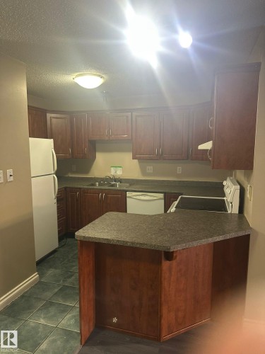 106 9010 106 Avenue, Edmonton, AB - Indoor Photo Showing Kitchen With Double Sink