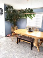 Dining space with a textured ceiling - 