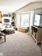 Living room with vaulted ceiling, a textured ceiling, and newly carpeted floors - 