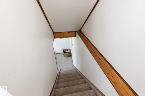 Stairway with carpet flooring and crown molding - 18717 57 Avenue, Edmonton, AB - Indoor Photo Showing Other Room
