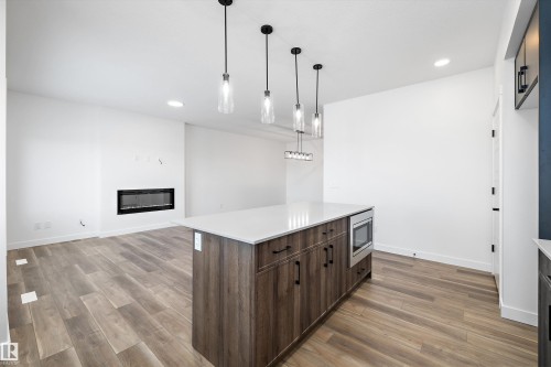19304 29 Avenue, Edmonton, AB - Indoor With Fireplace
