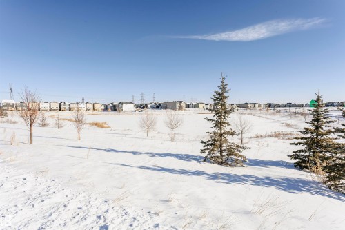 View of yard covered in snow - 2412 192 Street, Edmonton, AB - Outdoor With View