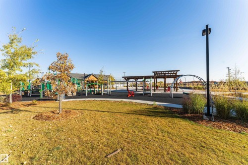 Communal playground with a yard - 2412 192 Street, Edmonton, AB - Outdoor