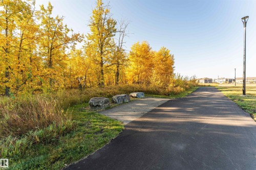 View of asphalt road - 2412 192 Street, Edmonton, AB - Outdoor With View