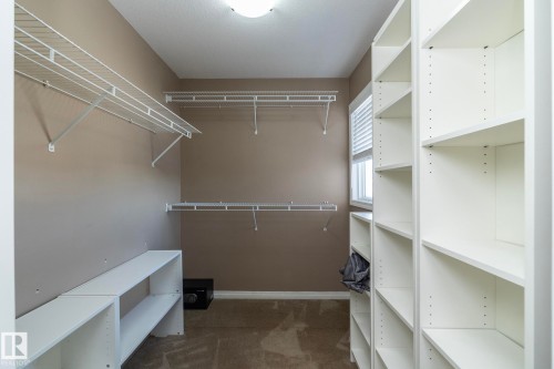 Walk in closet featuring dark colored carpet - 16454 61A Street, Edmonton, AB - Indoor With Storage