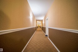 Hall with a textured wall and carpet flooring - 