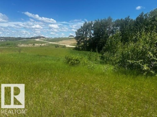 2 1118 Twp Rd 534, Rural Parkland County, AB 