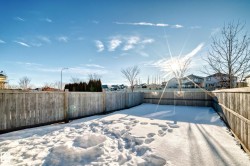 Fenced backyard with a residential view - 