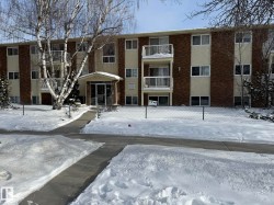 301 10811 115 Street  Edmonton, AB T5H 3L2