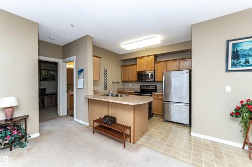227 16807 100 Avenue, Edmonton, AB - Indoor Photo Showing Kitchen