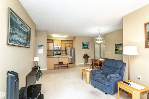 227 16807 100 Avenue, Edmonton, AB - Indoor Photo Showing Living Room