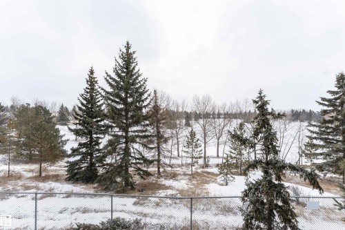 227 16807 100 Avenue, Edmonton, AB - Outdoor With View