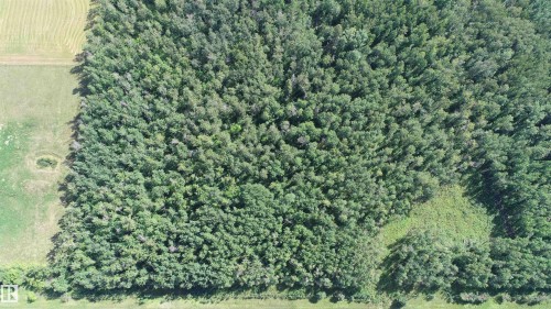 56211A Range Rd 25, Rural Lac Ste. Anne County, AB 