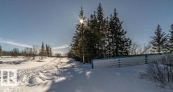 View of yard layered in snow - 