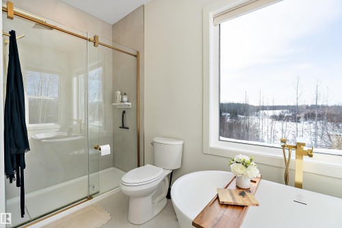 13 50408 Rr 203, Rural Beaver County, AB - Indoor Photo Showing Bathroom