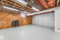 Basement with wood walls - 