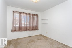 Carpeted empty room with plenty of natural light - 