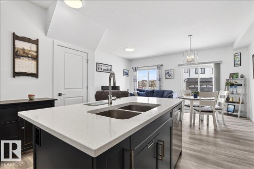67 5122 213A Street, Edmonton, AB - Indoor Photo Showing Kitchen With Double Sink