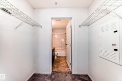 Walk in closet with dark colored carpet - 