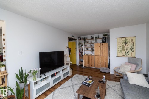 208 11455 41 Avenue, Edmonton, AB - Indoor Photo Showing Living Room