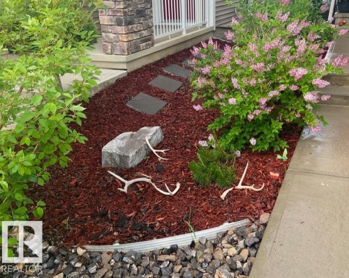 Landscaping of front yard in spring and summer months. - 1909 Davidson Wynd, Edmonton, AB - Outdoor