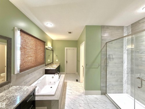 1273 Adamson Drive, Edmonton, AB - Indoor Photo Showing Bathroom