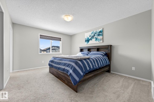 9040 Cooper Link, Edmonton, AB - Indoor Photo Showing Bedroom