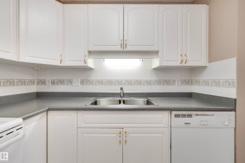 209 17150 94A Avenue, Edmonton, AB - Indoor Photo Showing Kitchen With Double Sink