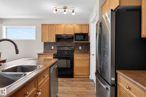 4214 156A Avenue, Edmonton, AB - Indoor Photo Showing Kitchen With Double Sink
