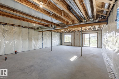 13113 212A Street, Edmonton, AB - Indoor Photo Showing Basement