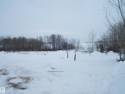 View of yard covered in snow - 