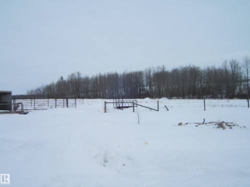 Yard layered in snow with a wooded view - 125076 Twp Rd 540, Rural Two Hills County, AB - Outdoor With View