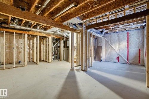 19732 28 Avenue, Edmonton, AB - Indoor Photo Showing Basement