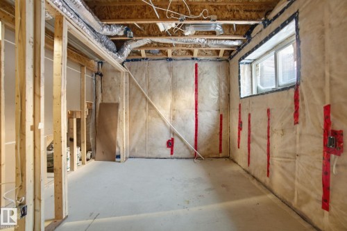 19732 28 Avenue, Edmonton, AB - Indoor Photo Showing Basement