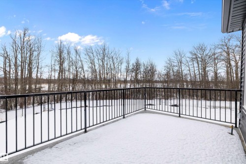 View of snow covered back of property - 718 Elderberry Close Nw, Edmonton, AB - Outdoor