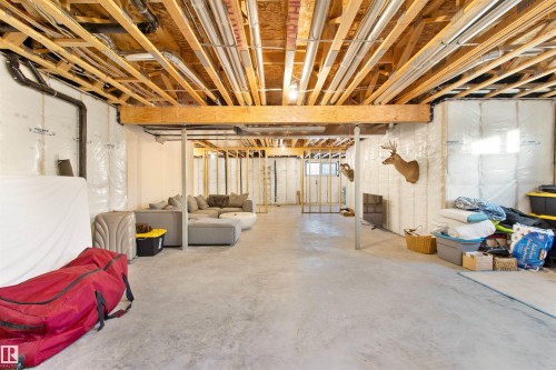 49213 Range Road 82, Rural Brazeau County, AB - Indoor Photo Showing Basement