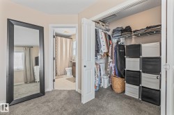 Walk in closet featuring light colored carpet - 