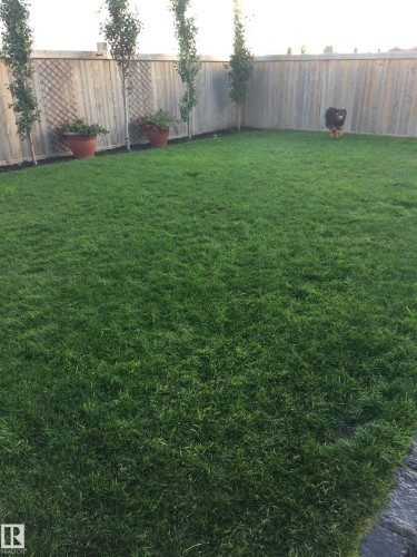 View of fenced backyard - 10415 94 Street, Morinville, AB - Outdoor