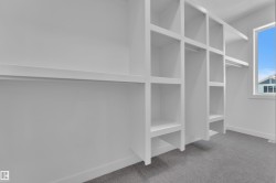 Walk in closet featuring light carpet - 