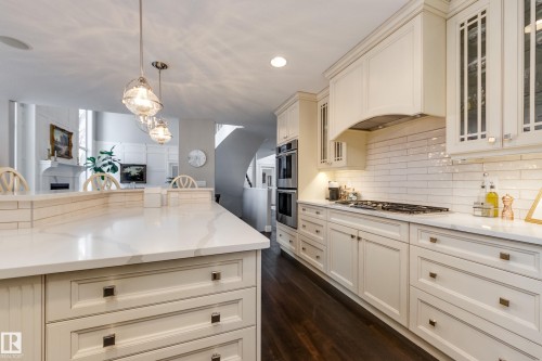103 Weaver Drive, Edmonton, AB - Indoor Photo Showing Kitchen With Upgraded Kitchen