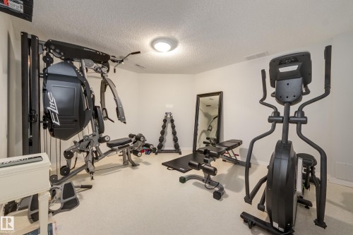 103 Weaver Drive, Edmonton, AB - Indoor Photo Showing Gym Room