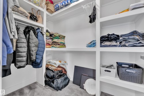 Walk in closet with carpet - 316 42 Street, Edmonton, AB - Indoor With Storage