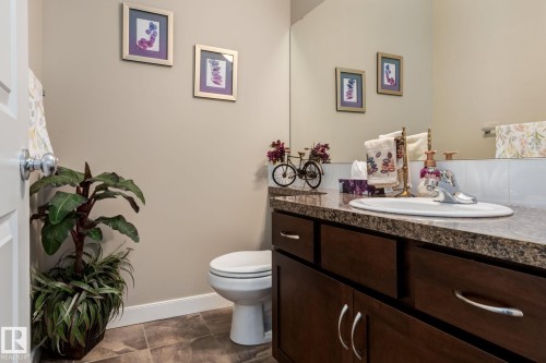 91 7293 South Terwillegar Drive, Edmonton, AB - Indoor Photo Showing Bathroom