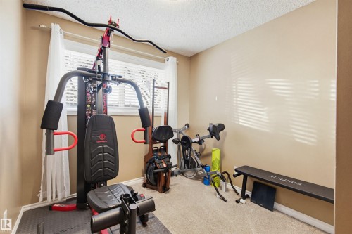 3426 120 Avenue, Edmonton, AB - Indoor Photo Showing Gym Room