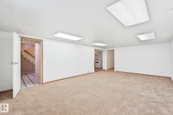 Finished basement featuring carpet and a drop ceiling - 
