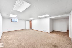 Basement with a drop ceiling and carpet floors - 