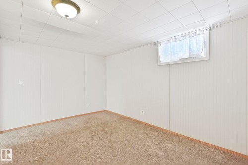 Below grade area with carpet - 13911 117 Avenue, Edmonton, AB - Indoor Photo Showing Other Room
