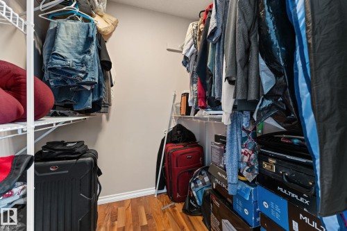 Walk in closet with light wood-style floors - 36 2204 118 Street, Edmonton, AB - Indoor With Storage